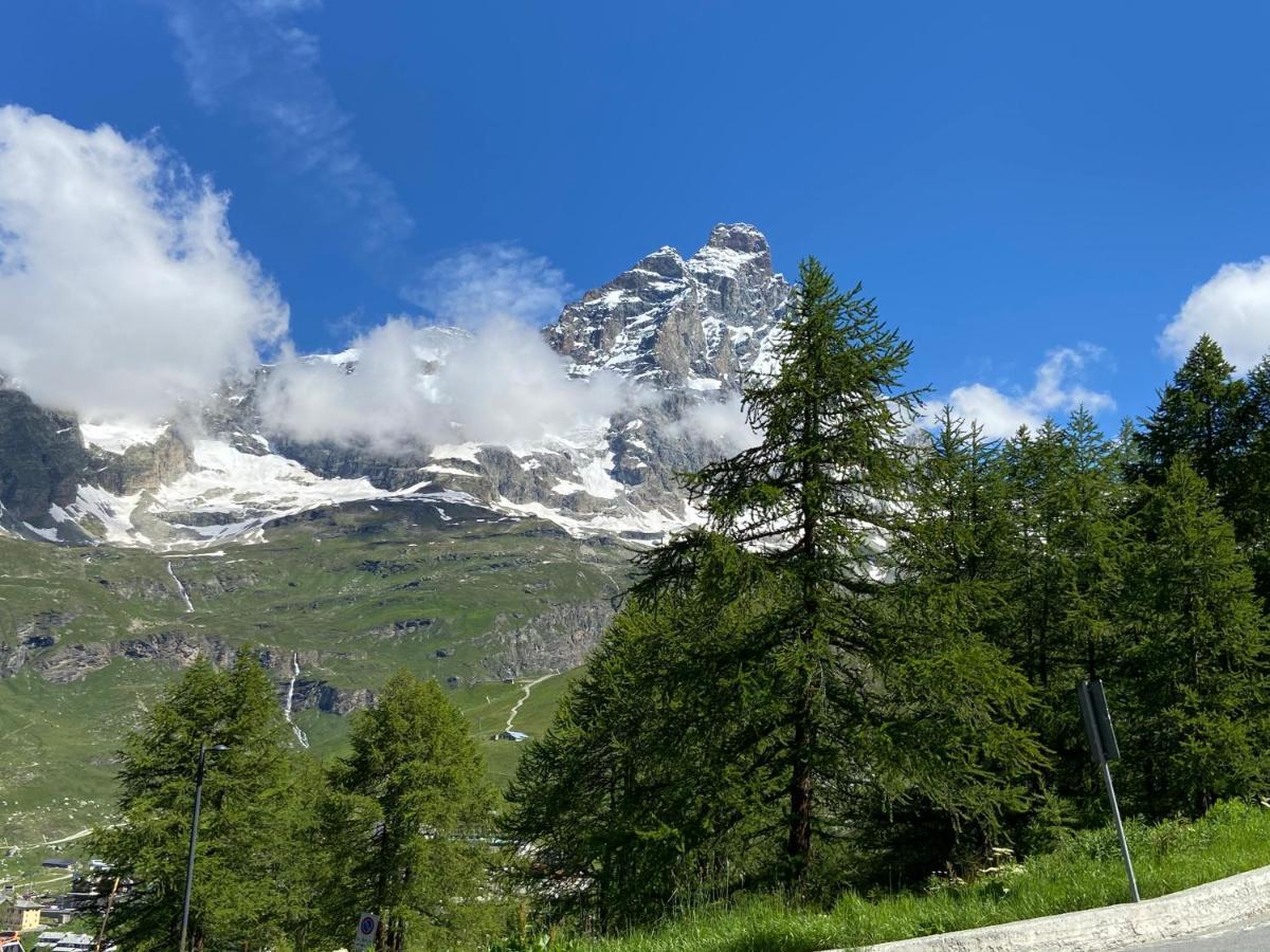Baita Delle Marmotte Cir N 0012 Breuil-Cervinia Eksteriør bilde